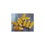 SCM edge sealing machine conveyor wheel